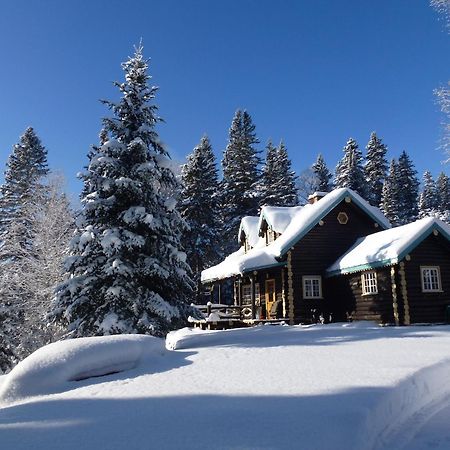 Domaine Le Bostonnais - Le Village En Bois Rond Ла-Тюк Екстер'єр фото