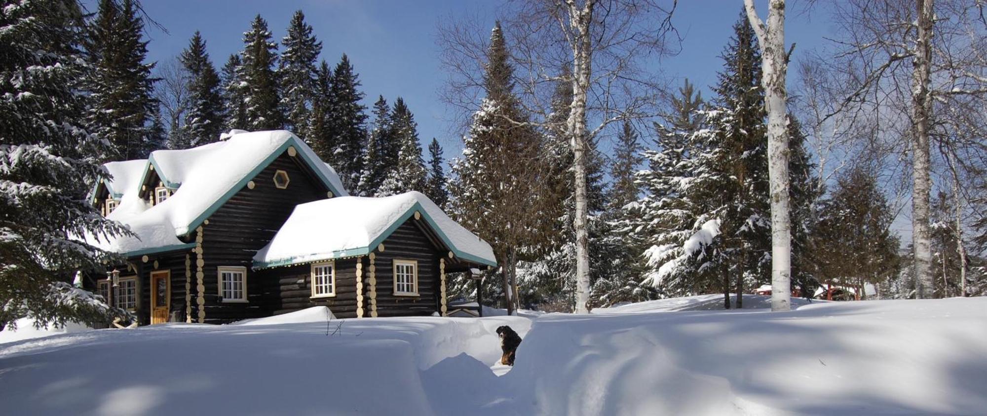 Domaine Le Bostonnais - Le Village En Bois Rond Ла-Тюк Екстер'єр фото