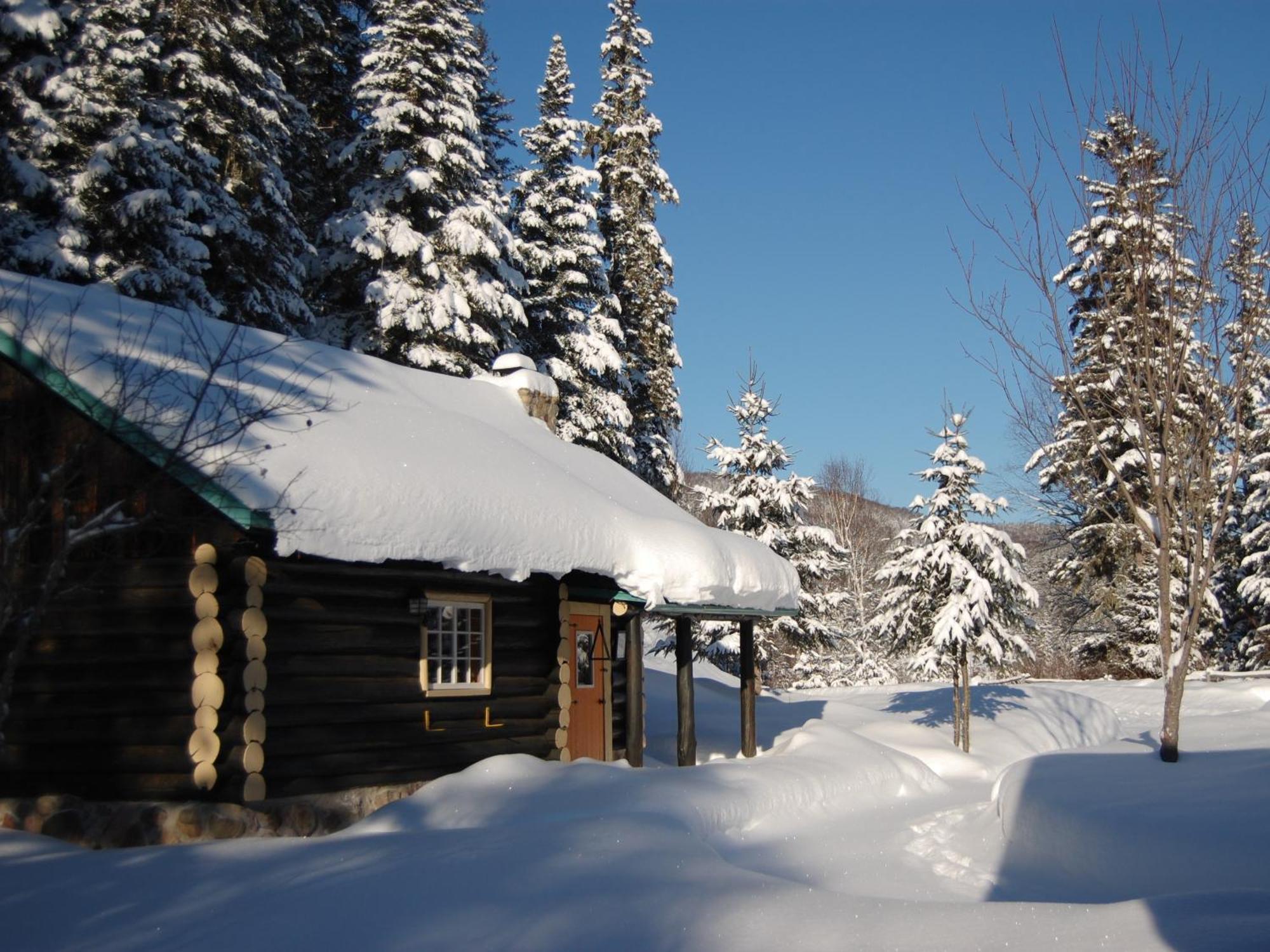 Domaine Le Bostonnais - Le Village En Bois Rond Ла-Тюк Номер фото