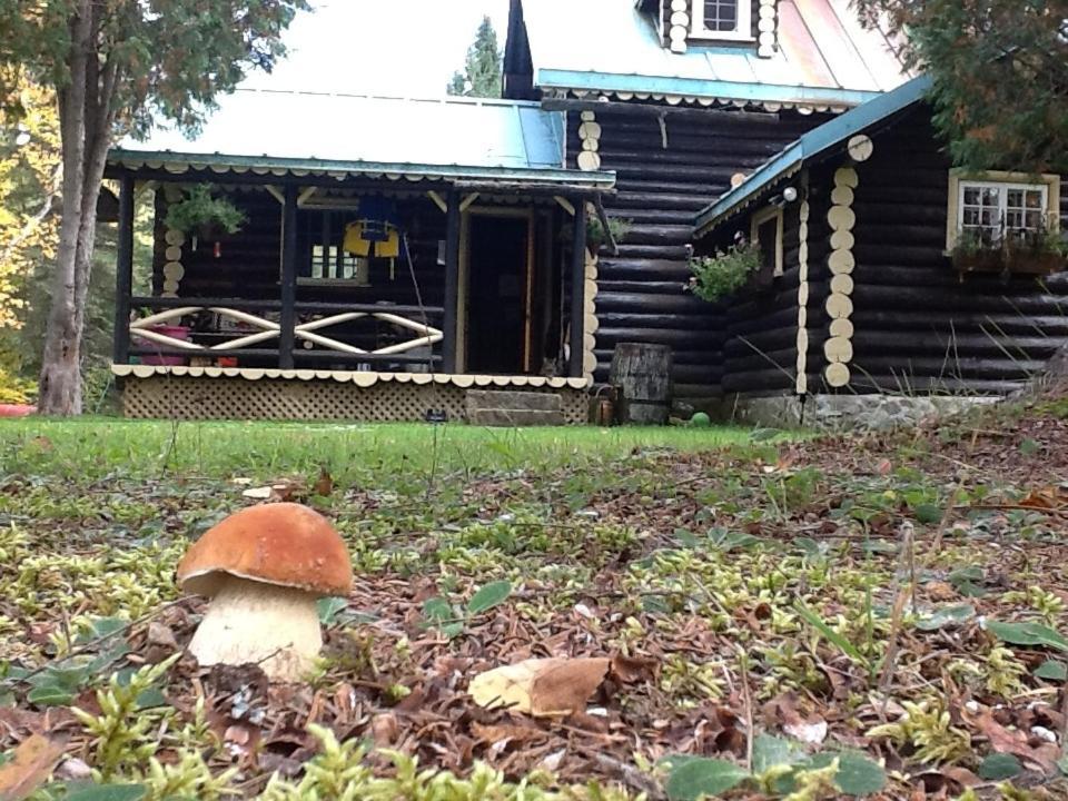 Domaine Le Bostonnais - Le Village En Bois Rond Ла-Тюк Екстер'єр фото
